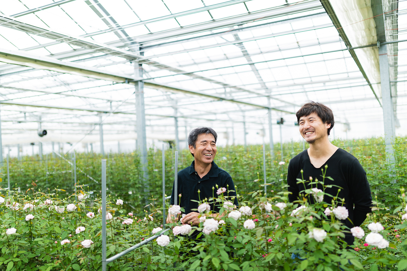 森槙司　 バラ 和バラ - ローズファームケイジ｜ハナスタ